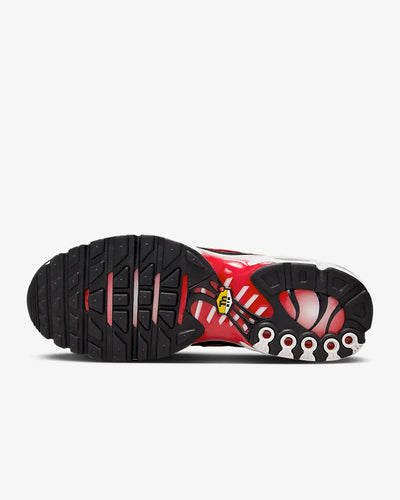 Air Max Plus