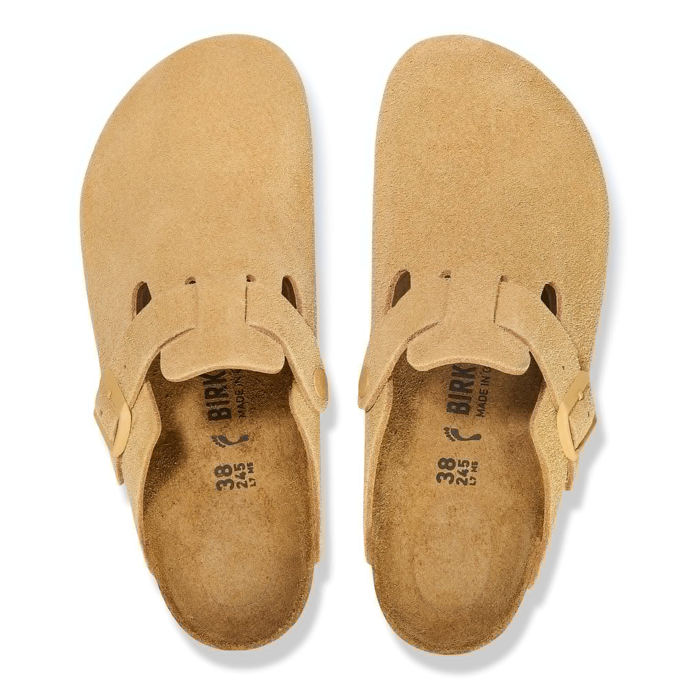 Boston Birkenstock