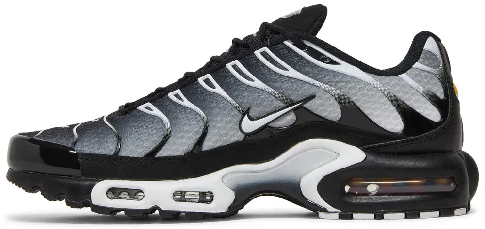 Air Max Plus 'Black Metallic Silver'